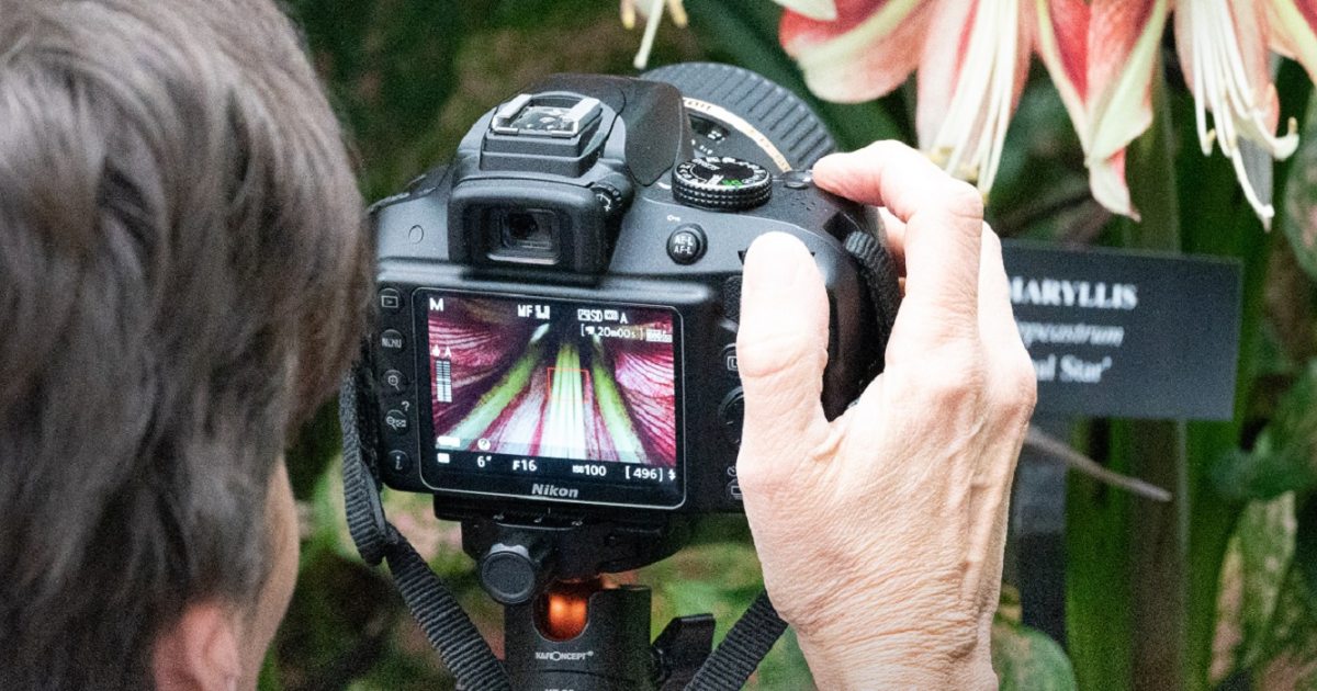 Garden Photography 101 Longwood Gardens